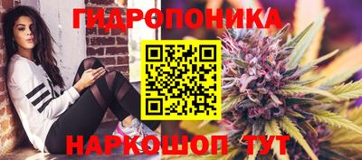 ПСИЛОЦИБИНОВЫЕ ГРИБЫ Донской