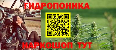 ПСИЛОЦИБИНОВЫЕ ГРИБЫ Донской